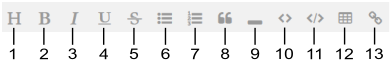 Formatting icons, numbered 1 through 13 left to right