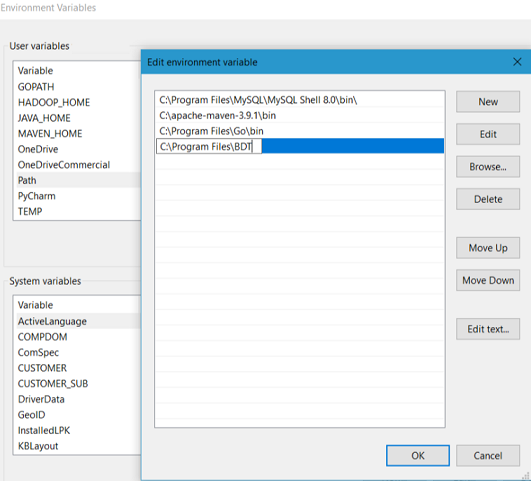 Add Environment Variable