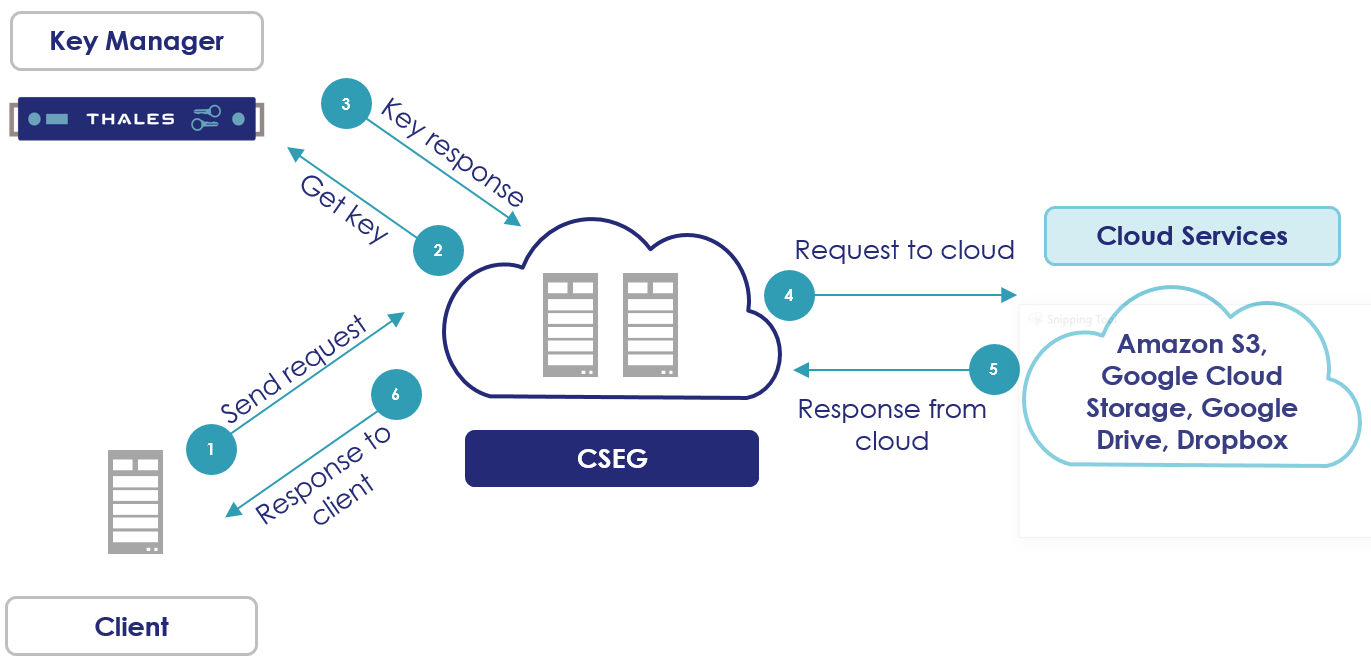 CSEG Server mode