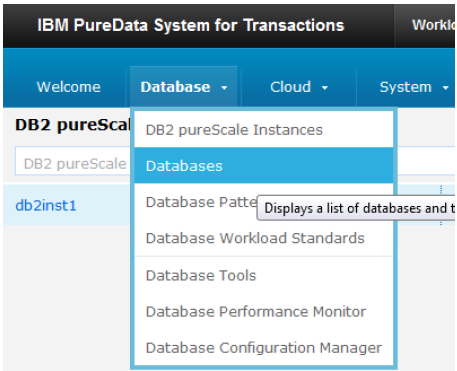 DB2 pureScale Instances