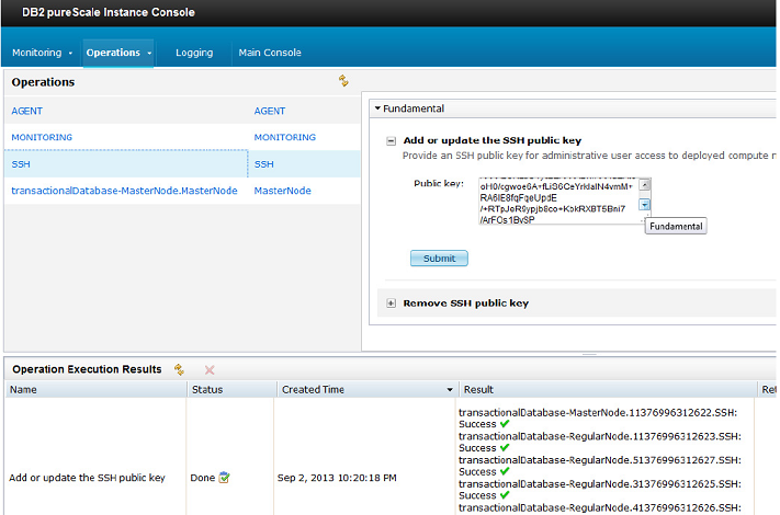 DB2 pureScale Instances