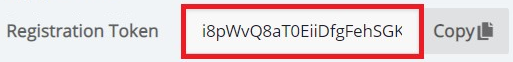 Registration Token