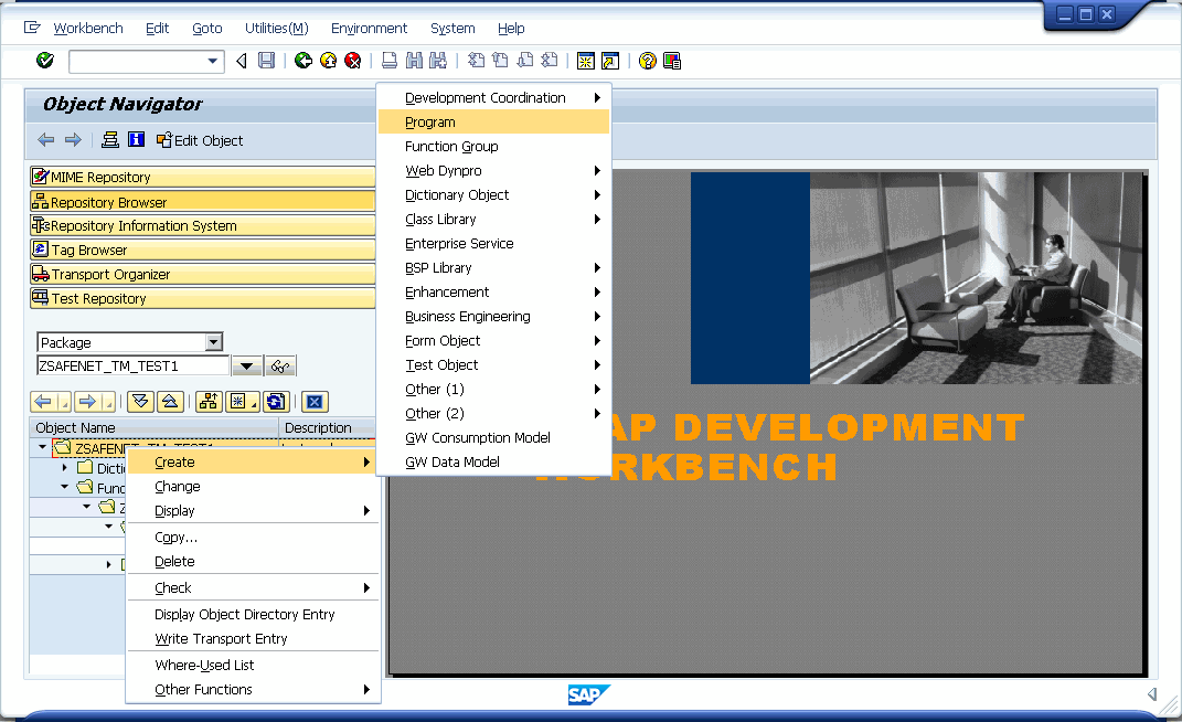 SAPTM ABAP Program