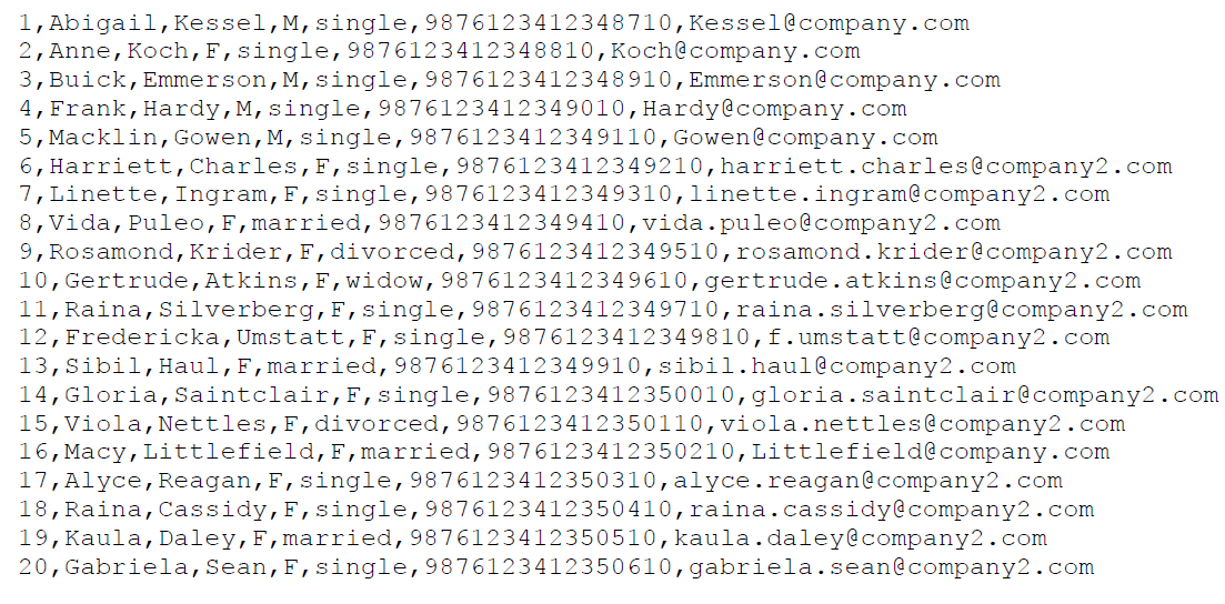 Sample Input Data File (Delimited)
