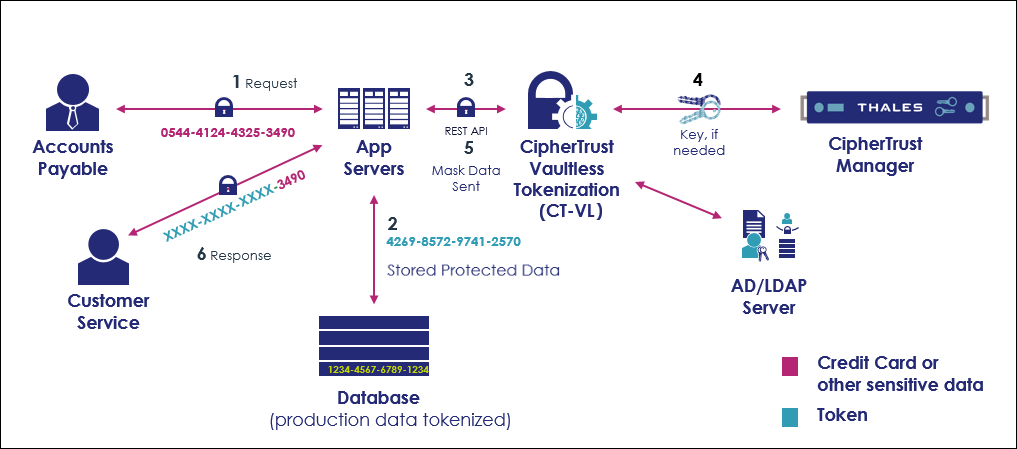 CT-VL Architecture Diagram