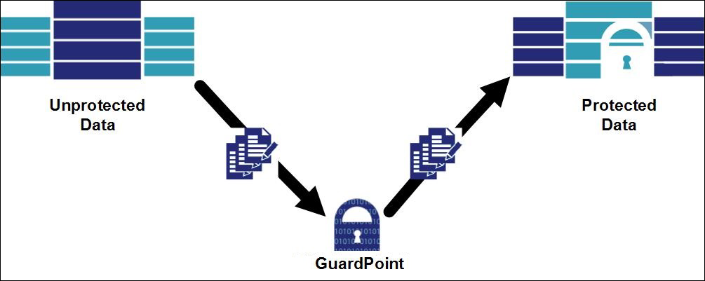 Cte Architecture