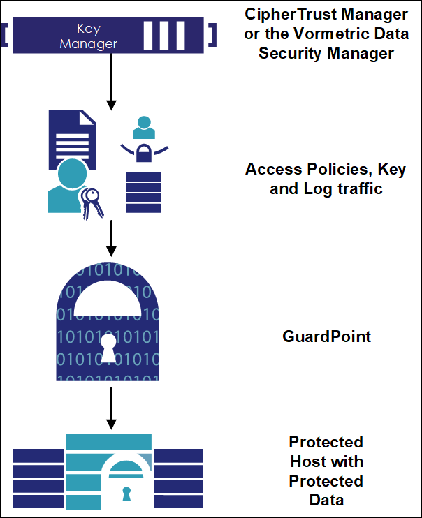 Cte Architecture