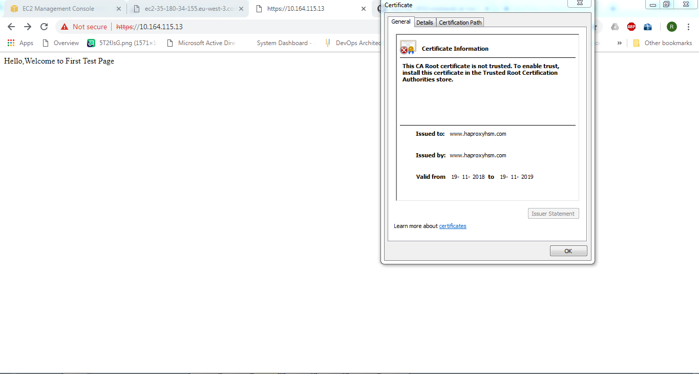 Browser Certificate Viewer Showing the Luna HSM-Backed Certificate alt text