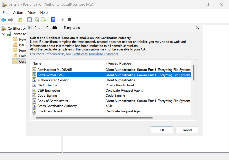 Select the template that uses the SafeNet Key Storage Provider alt text