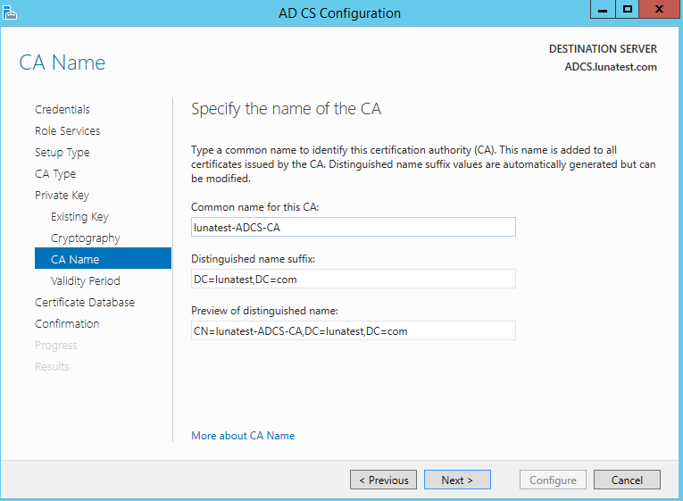 Type the common name of the CA alt text