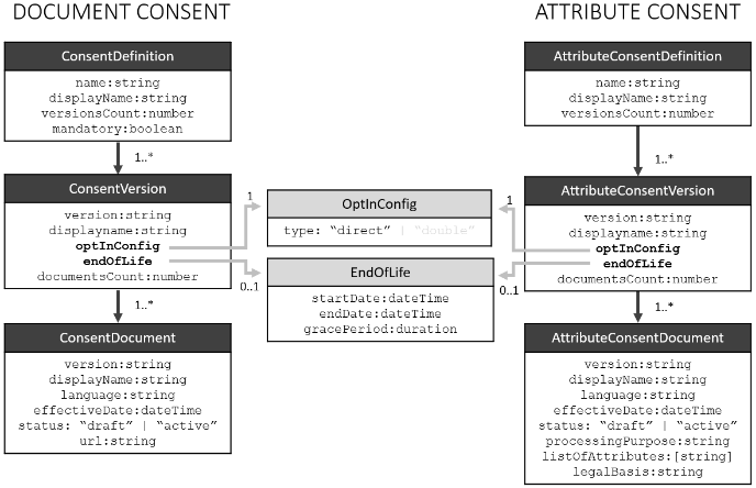 consent information model