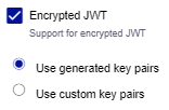 Encrypted JWT options