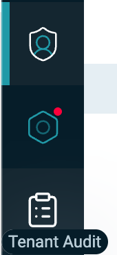 Tenant Audit