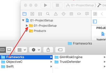 Xcode project with Frameworks folder added