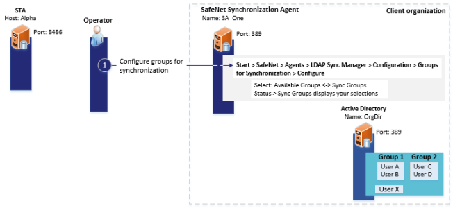 Diagram of how to configure groups for synchronization