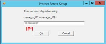 Protect Server Setup Window