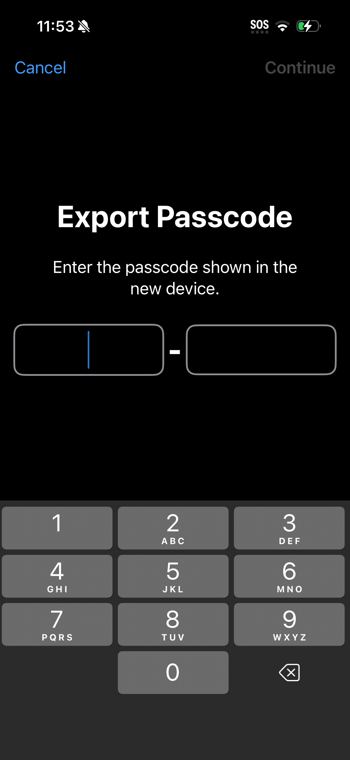 Export passcode