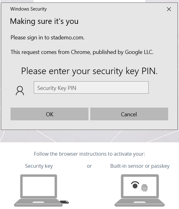 Security key pin